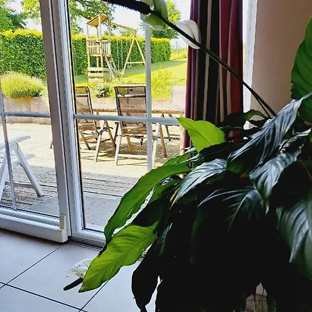 A Vellereux * 호우팔리제