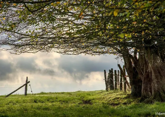 A Vellereux Vakantiehuis Houffalize